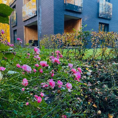 Apartament Magia Puszczy Z Widokiem Na Puszcze Bialowieska Hajnówka المظهر الخارجي الصورة