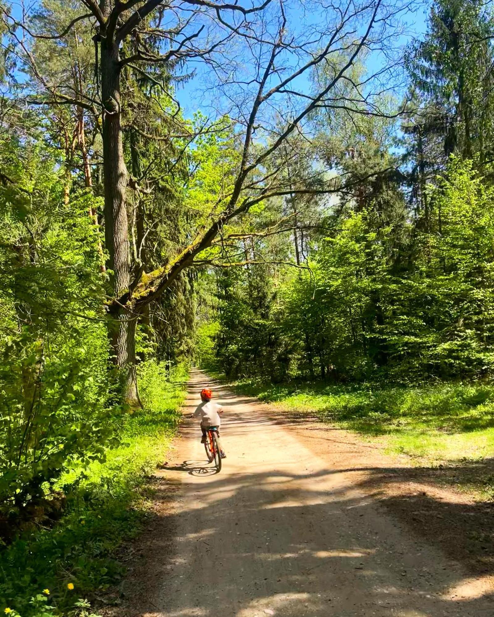 Apartament Magia Puszczy Z Widokiem Na Puszcze Bialowieska Hajnówka المظهر الخارجي الصورة